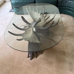 Glass Oval Coffee Table On Authentic Moose Antlers