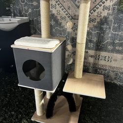 Brand new 45in High 30in Width Cat Tree $50