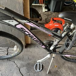 Great Bike 
