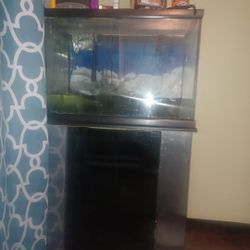 fish tank 