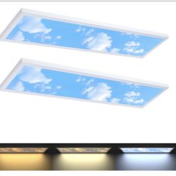 2 Pack 1x4 LED Sky Panel Light Surface Mount 50W 5500Lm Triac Dimming 3CCT 3000K/4000K/5000K 4ft LED Light Fixtures Ultra Thin For Kitchen Ga