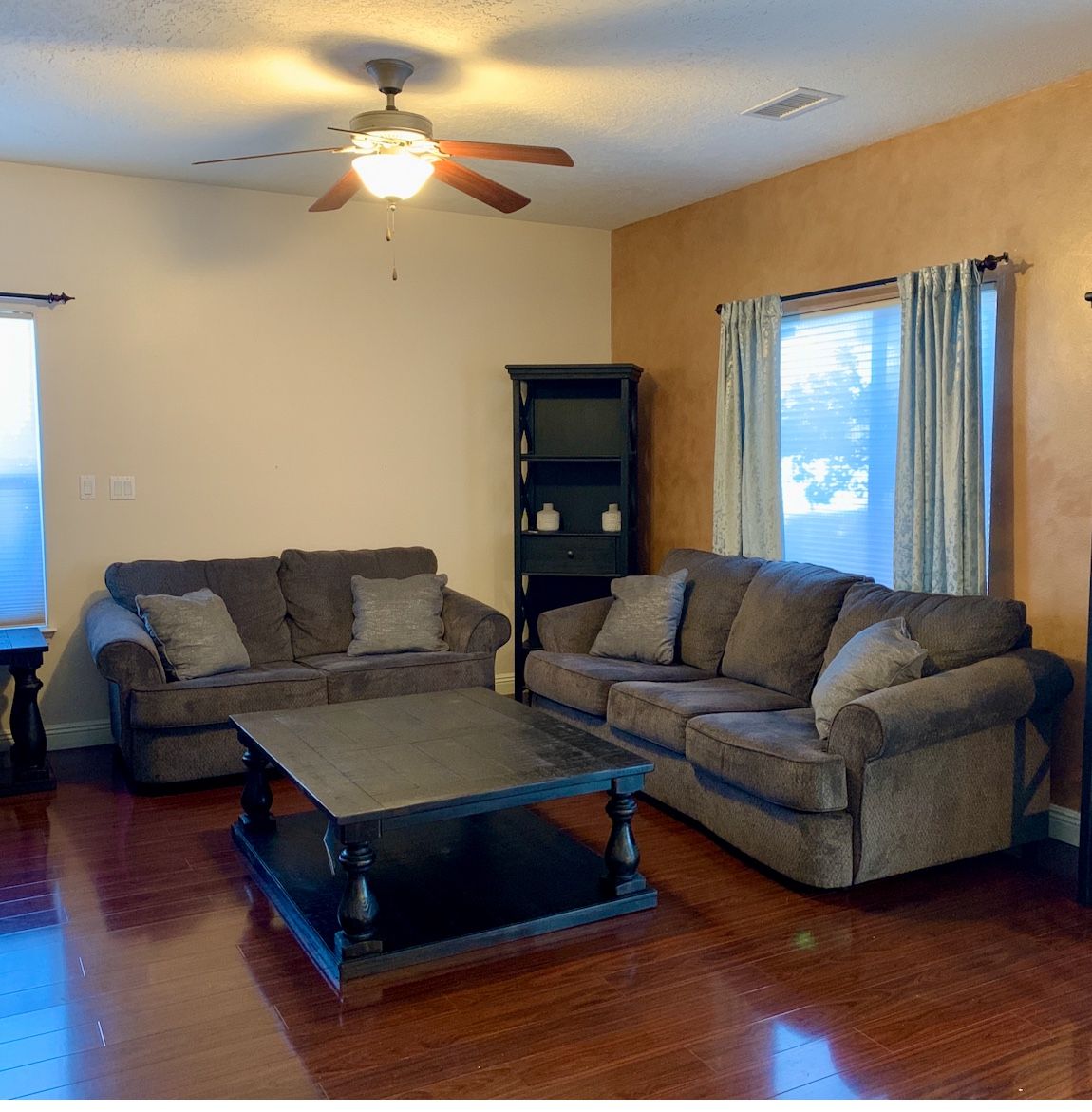 Grey Couches