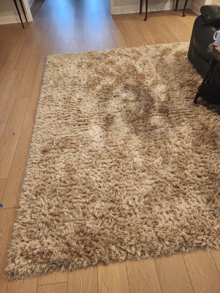 Area Rug