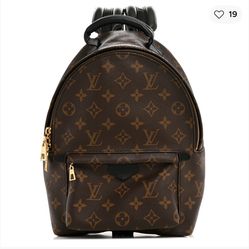 Louis Vuitton Palm Springs PM backpack