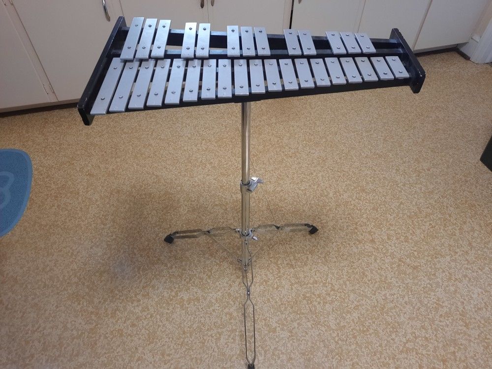 Beginner Xylophone
