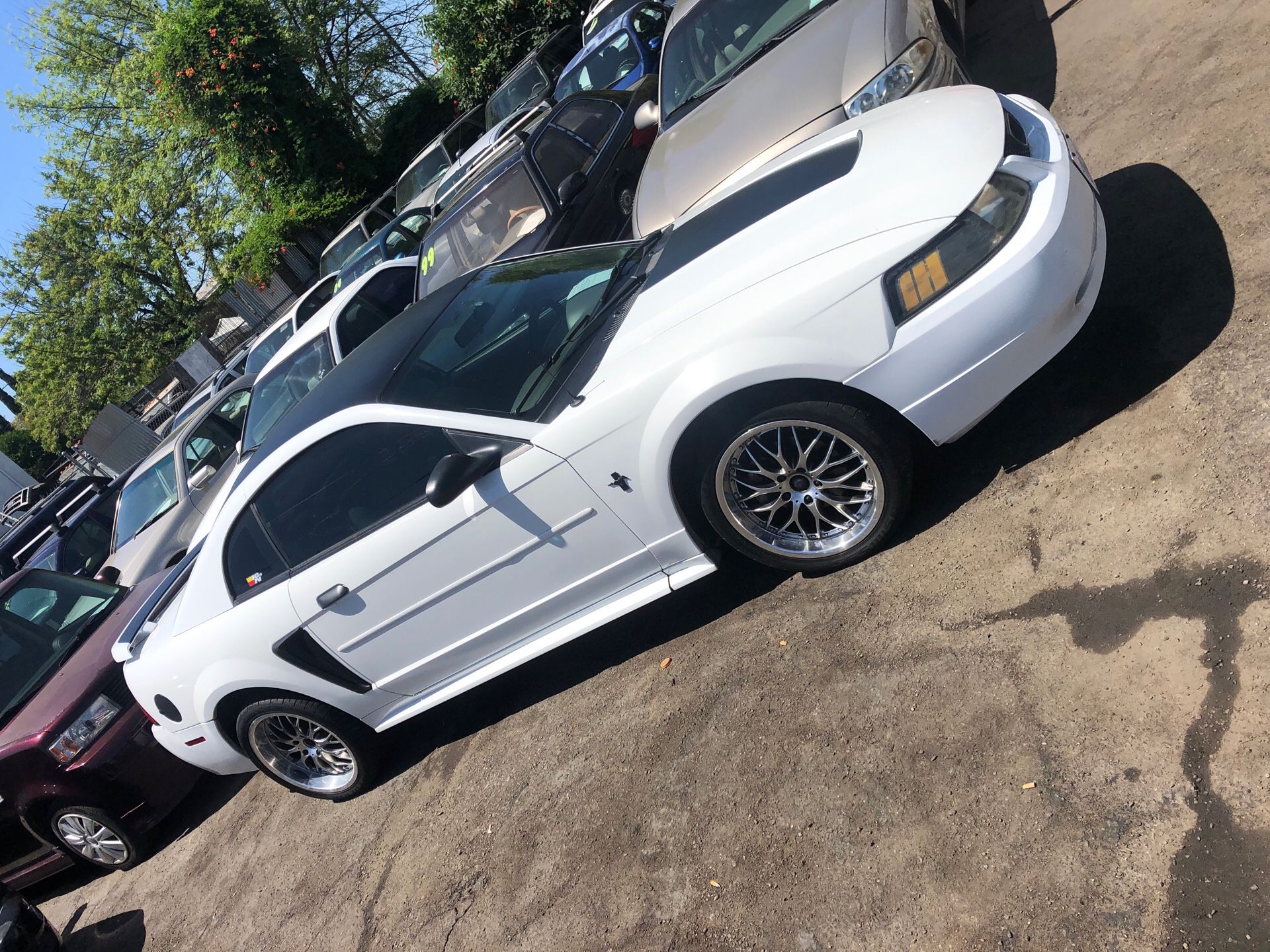 2003 Ford Mustang