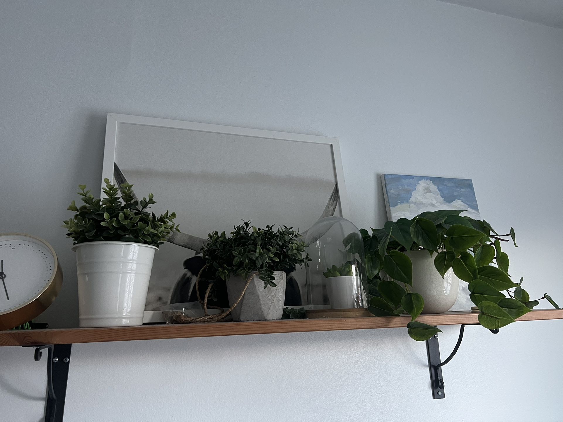 4 Fake Plants