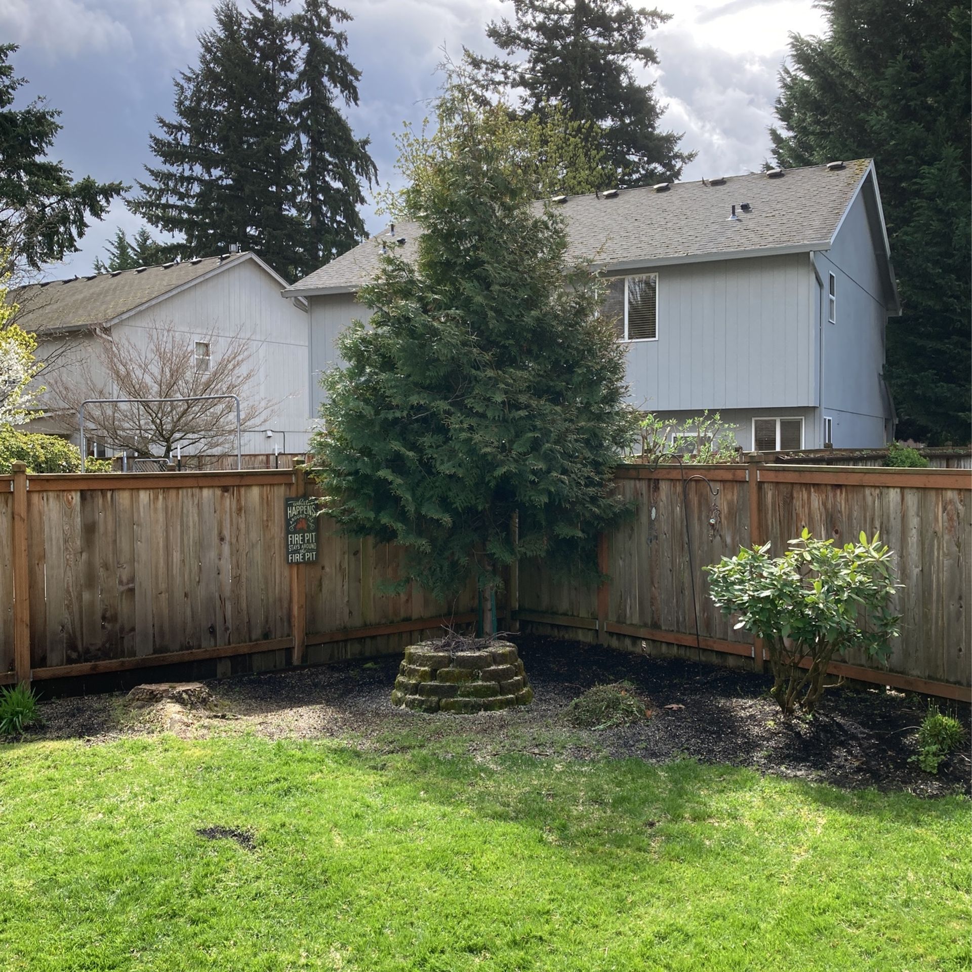 Landscapers Tree