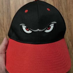lake elsinore storm