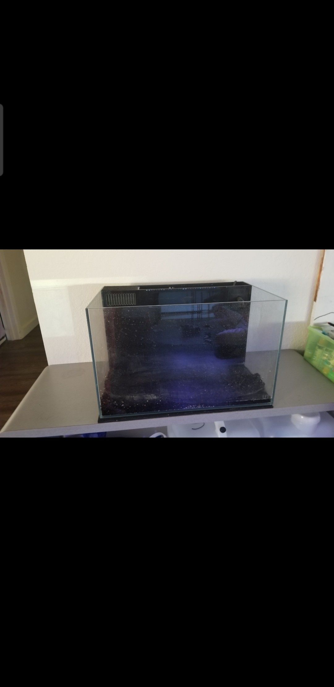 9 gallon saltwater rimless all in one aquarium