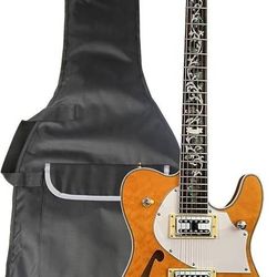 New Semi Hollow Body Electric Guitar with flower inlay ,Tremolo