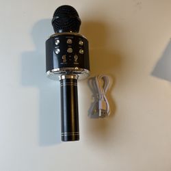 Wireless Microphone HIFI Speaker 