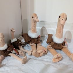 4 Beanie Babies  -(2 Regular AND 2 Teenie) Ostriches