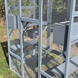 Exterior Cat Enclosure 