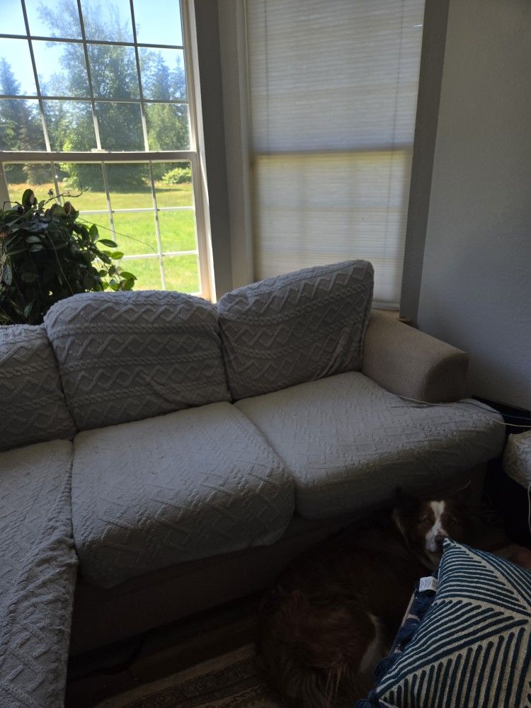 FREE Extremely comfortable couch
