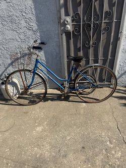 Blue bike