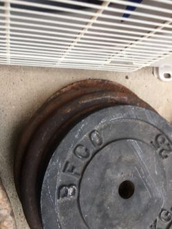 Single 25lb standard weights plates