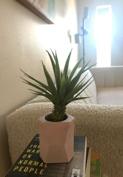 Real life-like succulent plant 🌱 decor