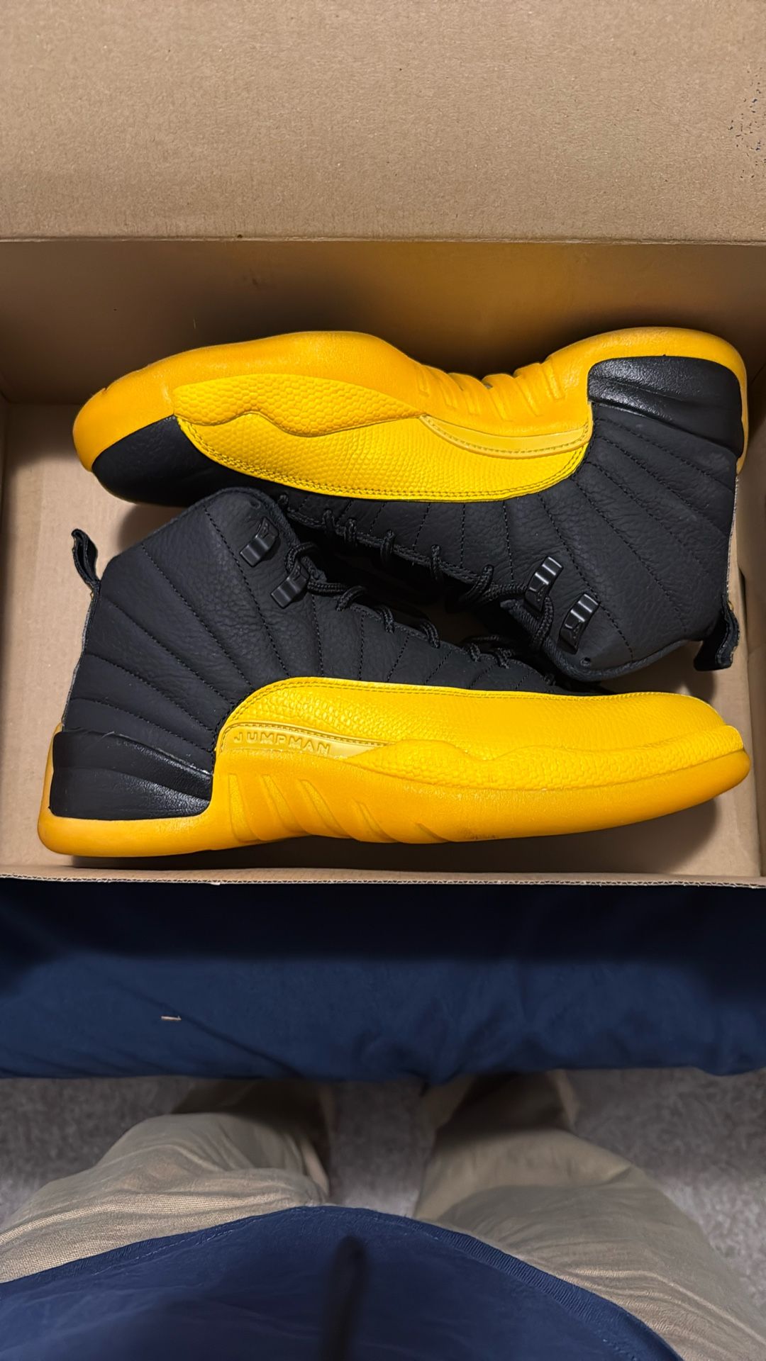 Air Jordan 12s Size 9 Men’s
