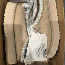 Ugg New 