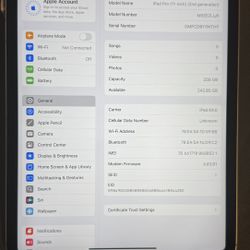 iPad Pro 11 2nd gen 256 GB With Cellular 