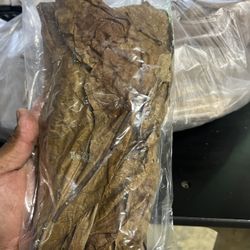 Indian Almond Leaf