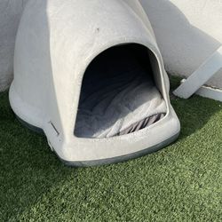 Dog House