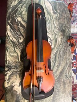 15.5 Viola Mendini