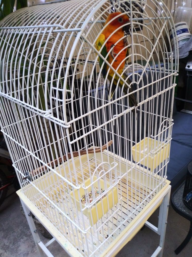 Cage for sale