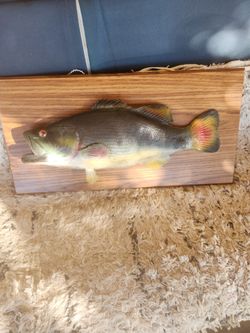 1980 vintage trophy fish