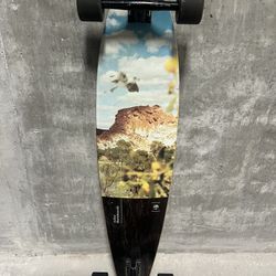  Arbor Fish Artist Longboard