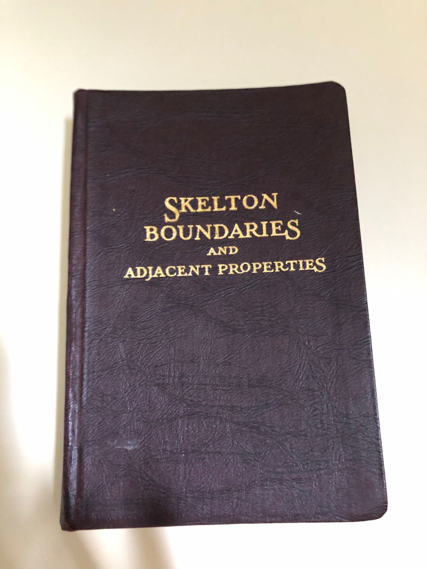 Skelton Boundaries and Adjacent Properties