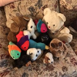 Stuffed Animals 