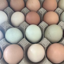 Home Chef Color Eggs 