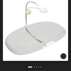 Skip Hop Changing Pad