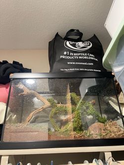 20 gallon reptile tank
