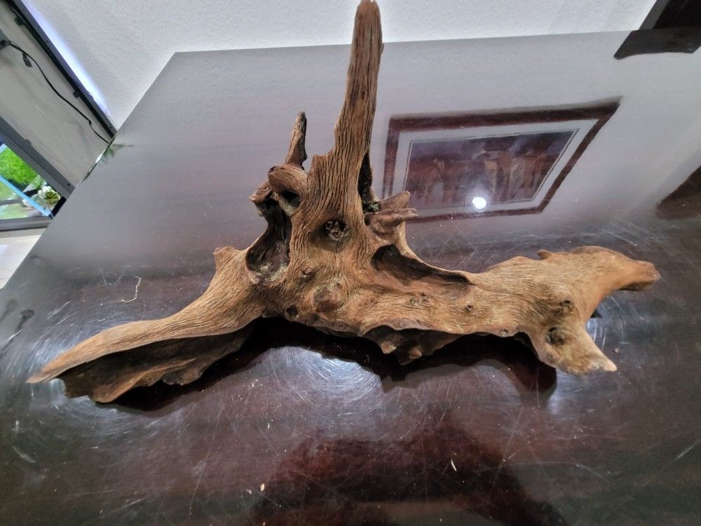 Large Aquarium Or Reptile Driftwood