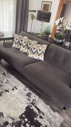 Gray Sofa