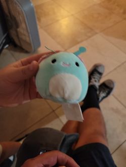 Squishmallows