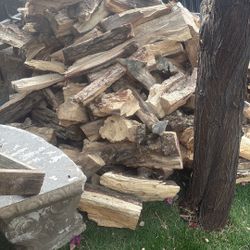 Fire Wood From A Very Old Pine Tree Fire Wood 