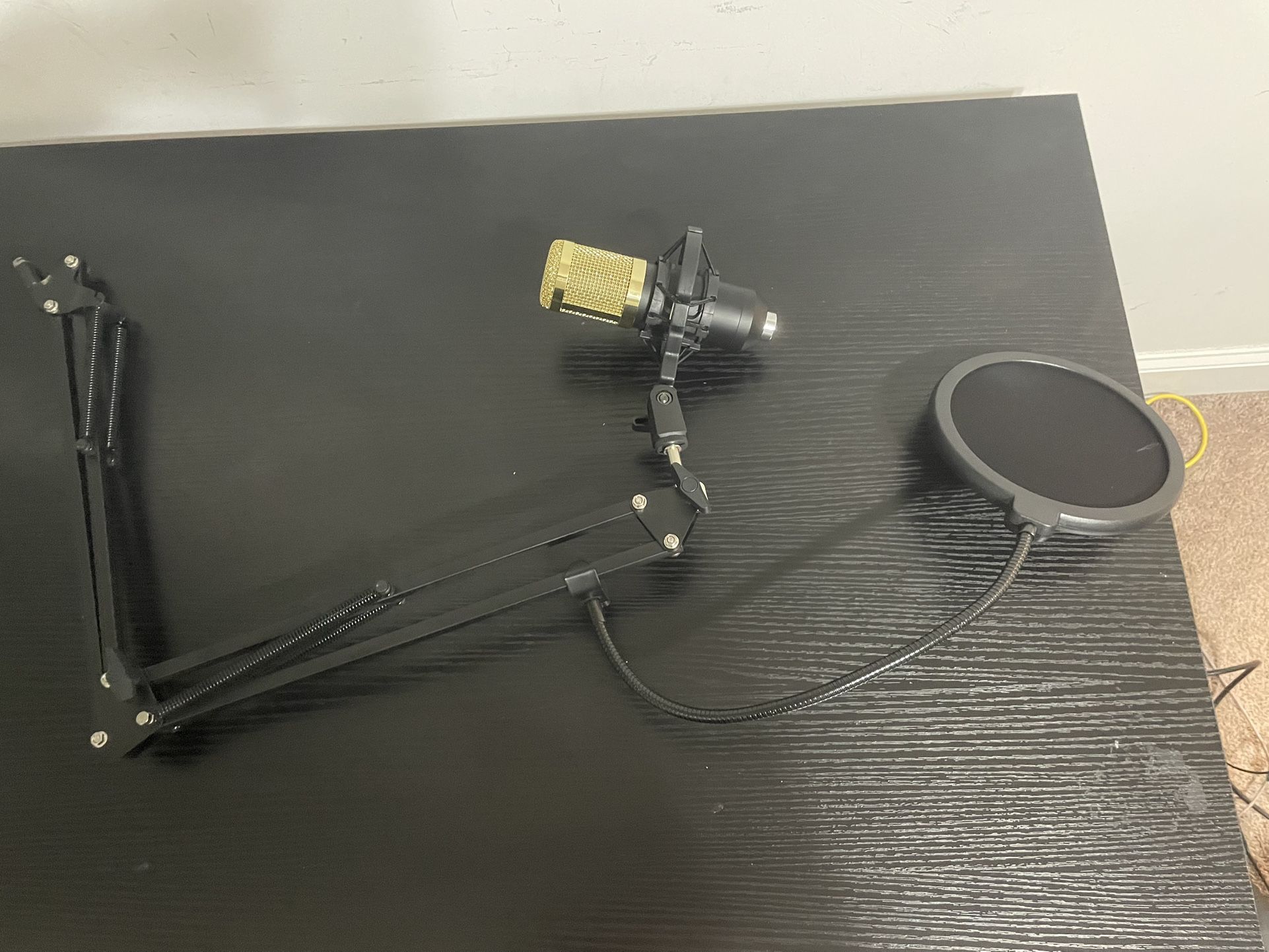 Condenser Microphone