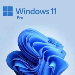 Windows 11 Pro Key Half Off 