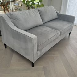 West Elm Paidge Sofa in Velvet Performance / Excellent Condition / Delivery Available 