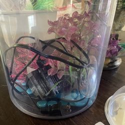Fish Tank Etc.