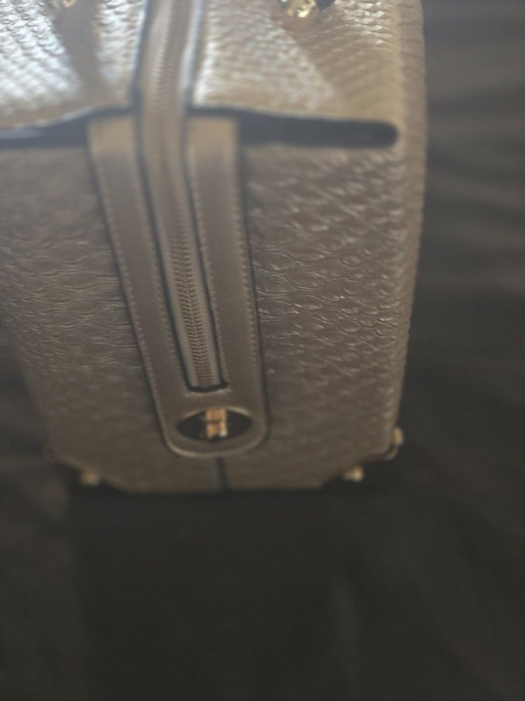 Purse Or Makeup Bag