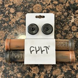 Cult Heaven's Gate Begin Grips