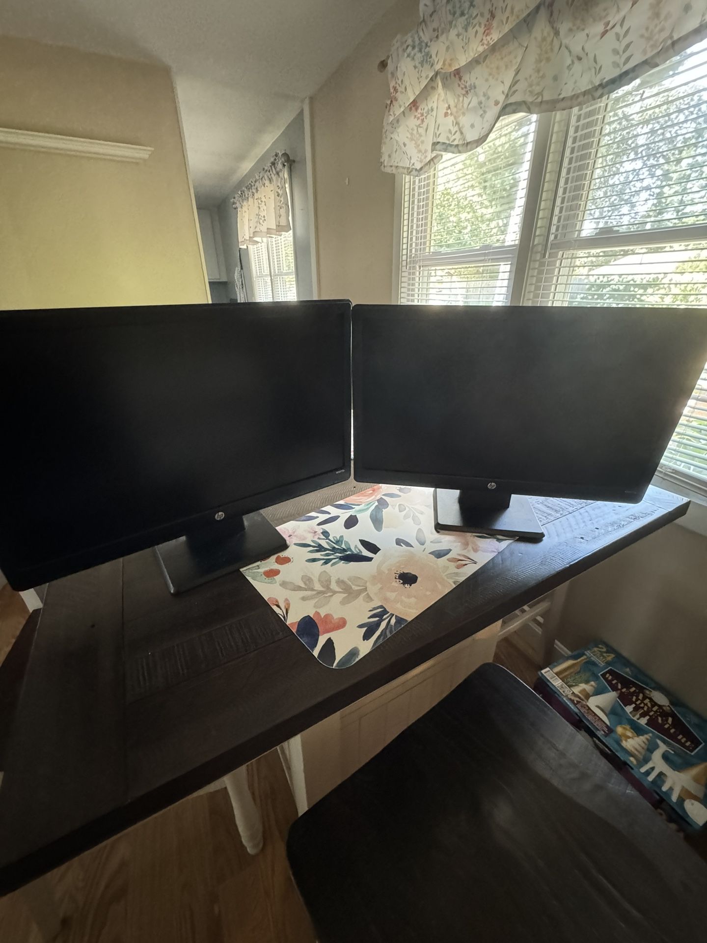 Dual Monitors (20”)