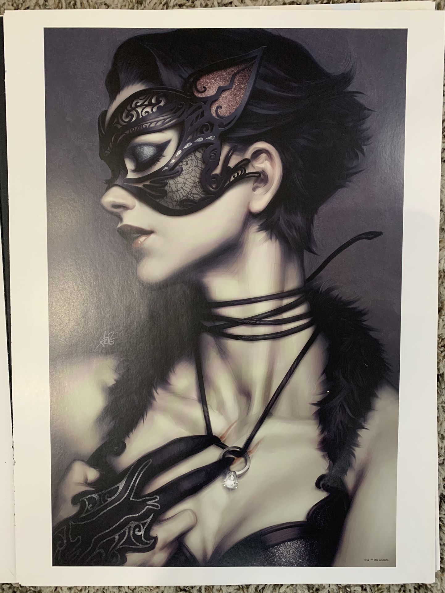 Selena Kyle Catwoman Stanley Artgerm Lau art Print Batman