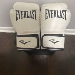 Everlast Boxing Gloves 