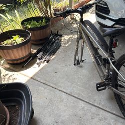 Trek Verve 3 